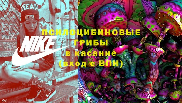 дурь Алексин