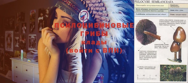 Альфа ПВП Алексеевка