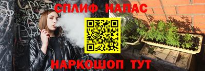 гашик Абакан