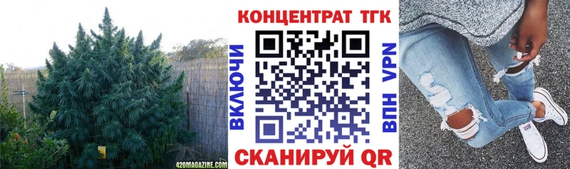 купить сайты Анапа ТГК Wax