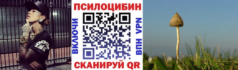 Галлюциногенные грибы Cubensis  блэк спрут ссылка  Анапа  хочу  